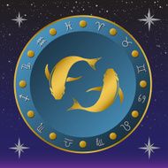 zodiac sign N9