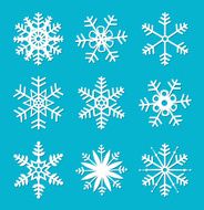 Winter design vector illustration N12
