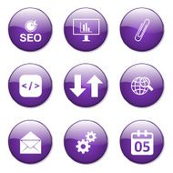 SEO Internet Sign Violet Vector Button Icon Design Set 6 N12