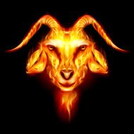 Goat