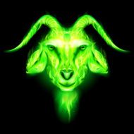 Goat N2