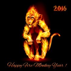 Fire Monkey