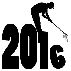 new year N51