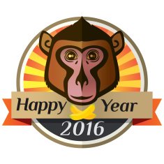 Happy new year 2016 N15