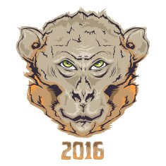 2016 Monkey