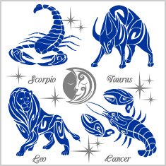 Zodiac signs and icons Vector illustration N2