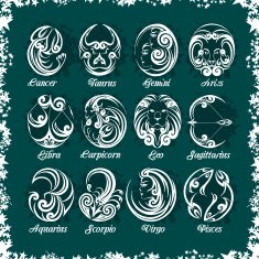 Zodiac signs and icons Vector illustration N6