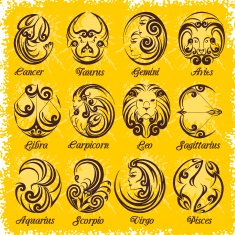 Zodiac signs and icons Vector illustration N7