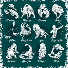 Zodiac signs and icons Vector illustration N8