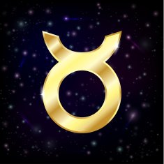 Taurus Zodiac N2