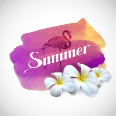 Summer label with frangipani flowers and flamingo