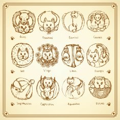 Sketch cats zodiac signs in vintage style