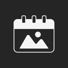 Calendar Icon N95