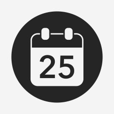 Christmas calendar icon N9