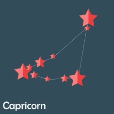 Capricorn Zodiac Sign of the Beautiful Bright Stars Vector Illus N2