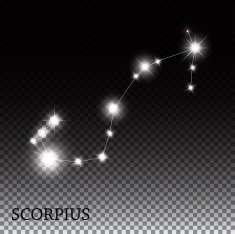 Scorpius Zodiac Sign of the Beautiful Bright Stars Vector Illust N3