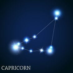 Capricorn Zodiac Sign of the Beautiful Bright Stars Vector Illus N4