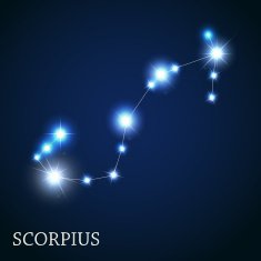 Scorpius Zodiac Sign of the Beautiful Bright Stars Vector Illust N4