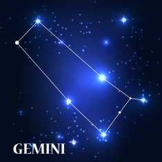 Symbol Gemini Zodiac Sign Vector Illustration