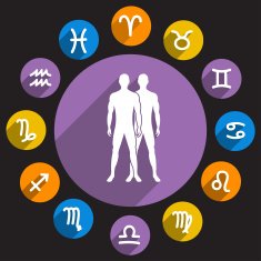 Gemini N4