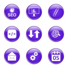 SEO Internet Sign Violet Vector Button Icon Design Set 6 N8