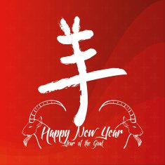 chinese new year N43