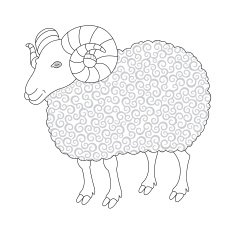 cute sheep with curl