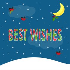 bright winter holidays card with best wishes and bullfinches