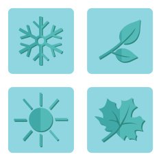 Vector Set of Seasons Icons N3