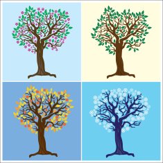 Four Seasons N3