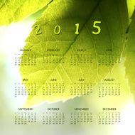 Calendar Template for Year 2015 with Natural Theme