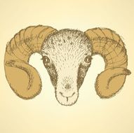 Sketch New Year ram in vintage style N3