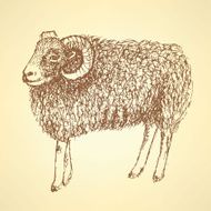 Sketch New Year ram in vintage style N11