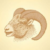 Sketch New Year ram in vintage style N15