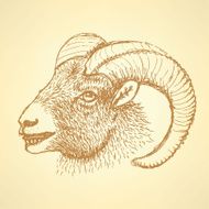 Sketch New Year ram in vintage style N17