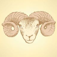Sketch New Year ram in vintage style N22