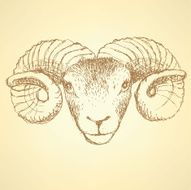 Sketch New Year ram in vintage style N24