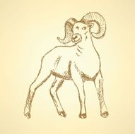 Sketch New Year ram in vintage style N33