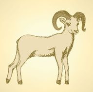 Sketch New Year ram in vintage style N40