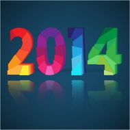 2014 New Year