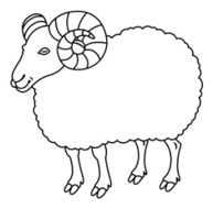 cute sheep N8
