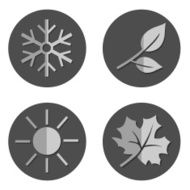 Vector Set of Seasons Icons N7
