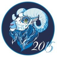 Symbol of 2015 year