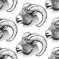 Sketch New Year ram in vintage style N45
