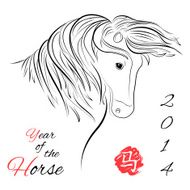 Horse on white background