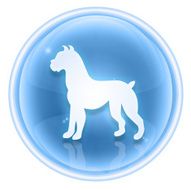 Dog Zodiac icon blue ice isolated on white background