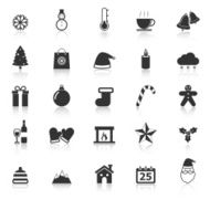 Winter icons with reflect on white background
