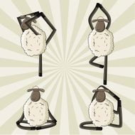 Yoga sheep standing in different poses