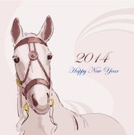 Horse in bridle