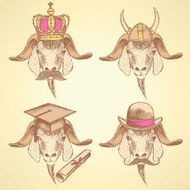 Sketch unusual goats set
